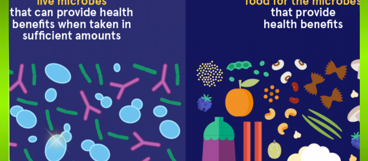 Probiotics và Prebiotics: Cặp đôi hoàn hảo cho hệ tiêu hoá