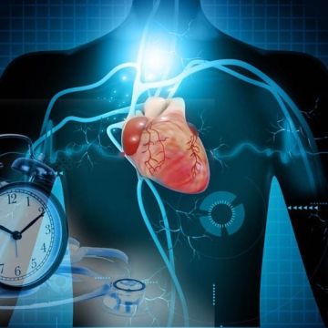 Vai trò của GABA trong kiểm soát nhịp tim và huyết áp