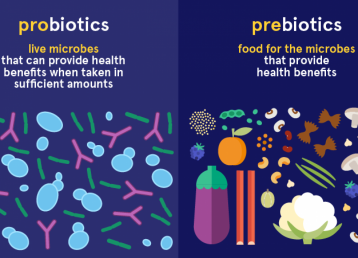 Probiotics và Prebiotics: Cặp đôi hoàn hảo cho hệ tiêu hoá khoẻ mạnh