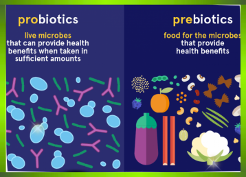 Probiotics và Prebiotics: Cặp đôi hoàn hảo cho hệ tiêu hoá