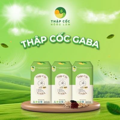 [Combo 3 Hộp GABA] Ngũ Cốc Dinh Dưỡng – Thập Cốc GABA | Hộp 500g x3|Protein Thực vật| Thuần chay
