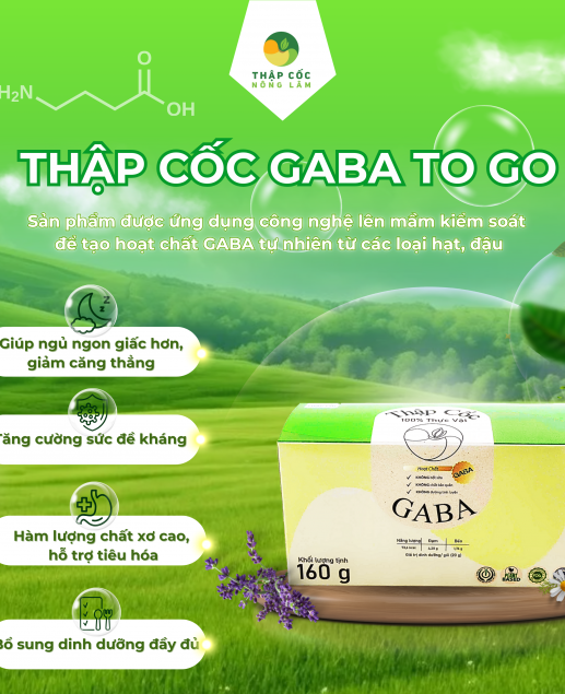 THẬP CỐC GABA TO GO