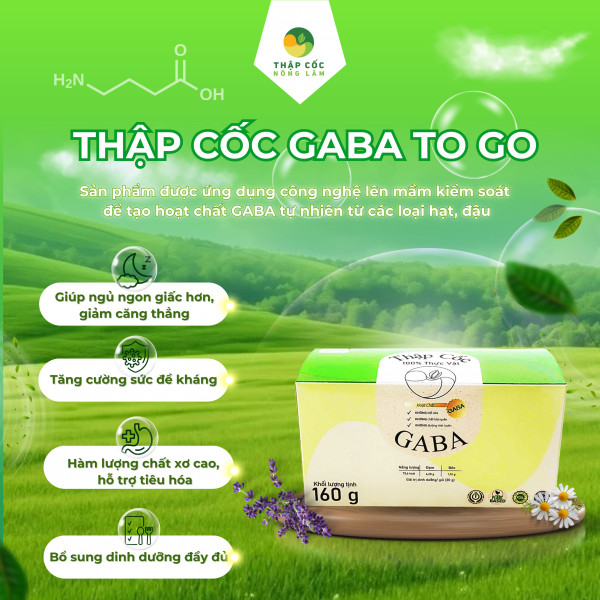 THẬP CỐC GABA TO GO