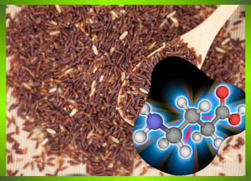 Ảnh hưởng của việc ngâm và xử lý khí đến hàm lượng GABA trong gạo lứt