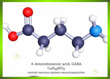 GABA là gì?